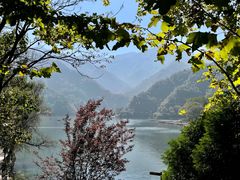 -秦岭终南山世界地质公园翠华山景区