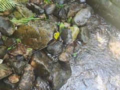 -福清灵石山国家森林公园