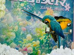 -灵玲国际马戏城