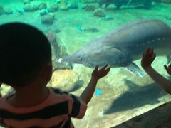 -华夏文旅海洋公园