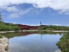 -玉舍国家森林公园