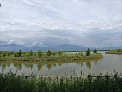 -野鸭湖国家湿地公园