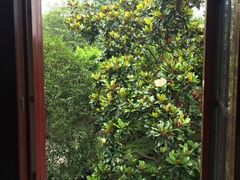 -苏州东山雕花楼宾馆