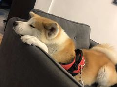 -YCHL Studios健身工作室(市二宫店)