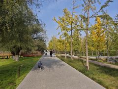 -汉长安城未央宫国家考古遗址公园