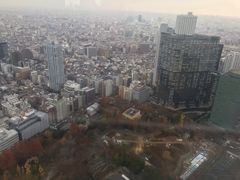 -东京都厅舍