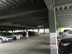 -上海植物园·停车场