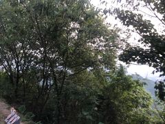 -惠山国家森林公园