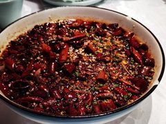 -雲蜀龙阁·金牌水煮鱼(方庄店)