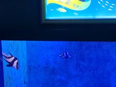 -常州海昌海洋探索馆