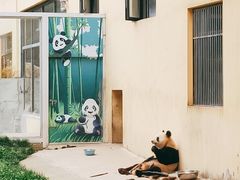 -西安秦岭野生动物园