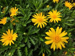 -眉山湿地公园(东坡区)