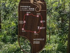 -东平国家森林公园
