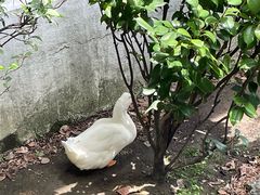-北园酒家(小北路店)