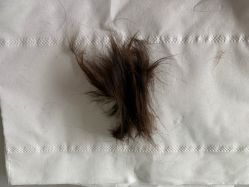 -禧婴婴儿理胎发·胎毛笔定制纪念品(新街口店)