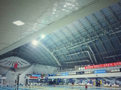 -二十一世纪饭店-游泳馆