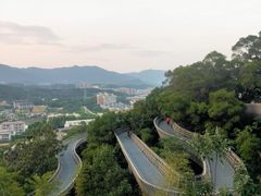 -福道