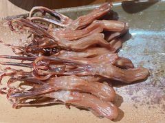 -头上红煨盐鸡乡村食府