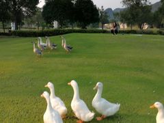 -Club Med地中海俱乐部·桂林度假村