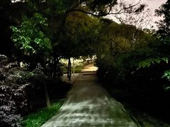 -仙岳公园