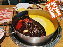 -青瓷火锅料理(西单大悦城店)