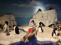 -成都泰迪熊博物馆