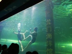 -洛阳龙门海洋馆