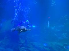 -福州罗源湾海洋世界旅游区