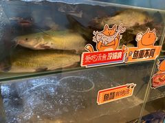 -鱼酷活鱼烤鱼(南京水游城店)