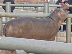 -商丘市人民公园