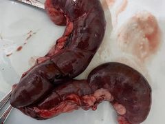 -宠颐生中康贝怡动物医院