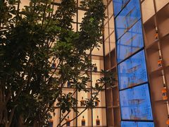 -桂满陇·海市蜃楼·黑金(国金店)