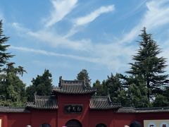 -洛阳白马寺