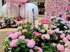 -上海长风大悦城