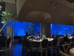 -鲨鱼餐厅.海景川粤餐厅(重庆天地店)