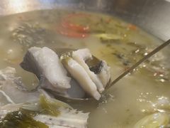 -土著渔匠·养生蝴蝶鱼(香樟路店)