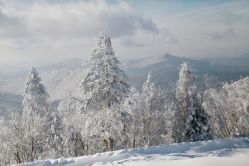 -大秃顶子山