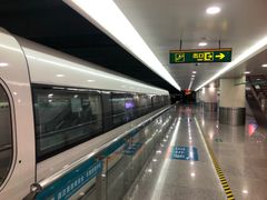 -浦东1号2号航站楼(地铁站)