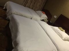-天安瑞嘉酒店