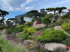 -罗红摄影艺术馆