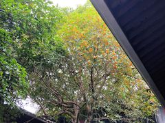 -溪口-滕头旅游景区