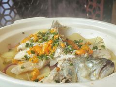 -樽宴酒楼·地道川菜·品质宴请