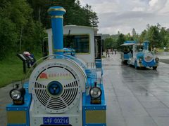 -五营红松林海景区