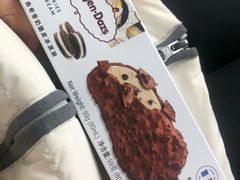 -哈根达斯(济南万象城店)