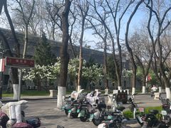 -山东大学(趵突泉校区)