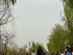-咸阳湖景区