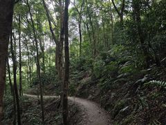 -广州市帽峰山景区