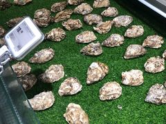 -盒马鲜生(和谐广场店)