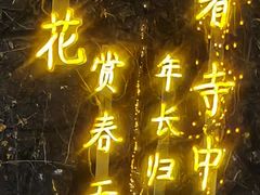 -大雁塔北广场音乐喷泉
