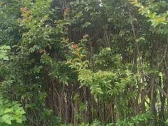 -禾荔烘焙DIY研究所